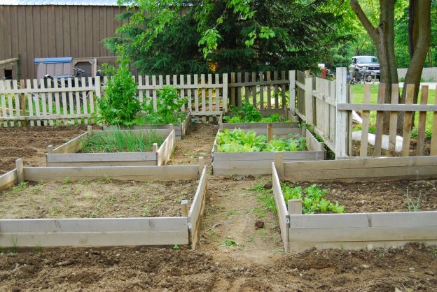 several raised beds in fenced in area