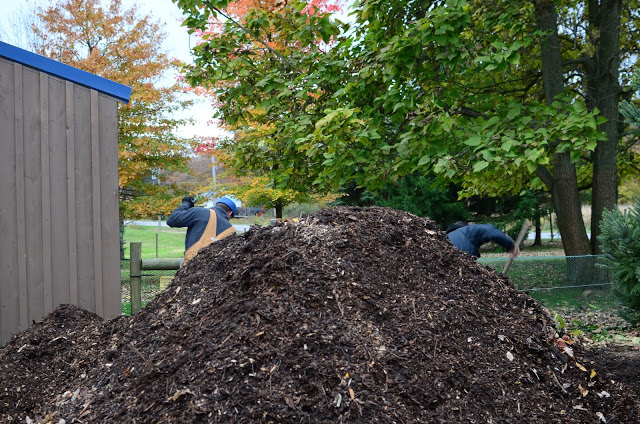 Rethinking Mulch Gardening