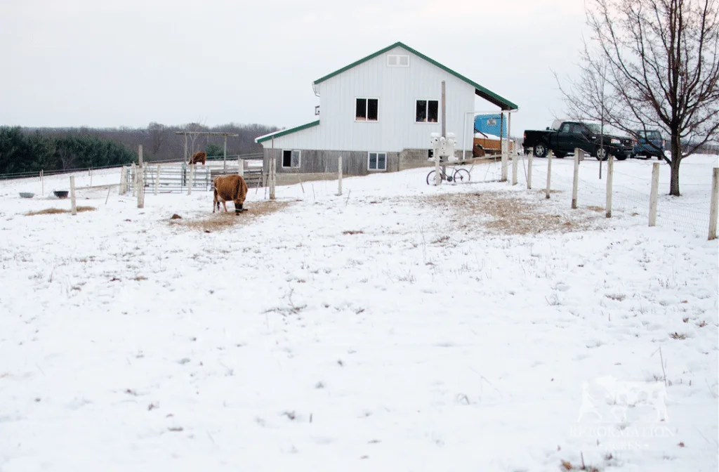 How to Improve & Reseed Your Pasture This Winter (For Free)
