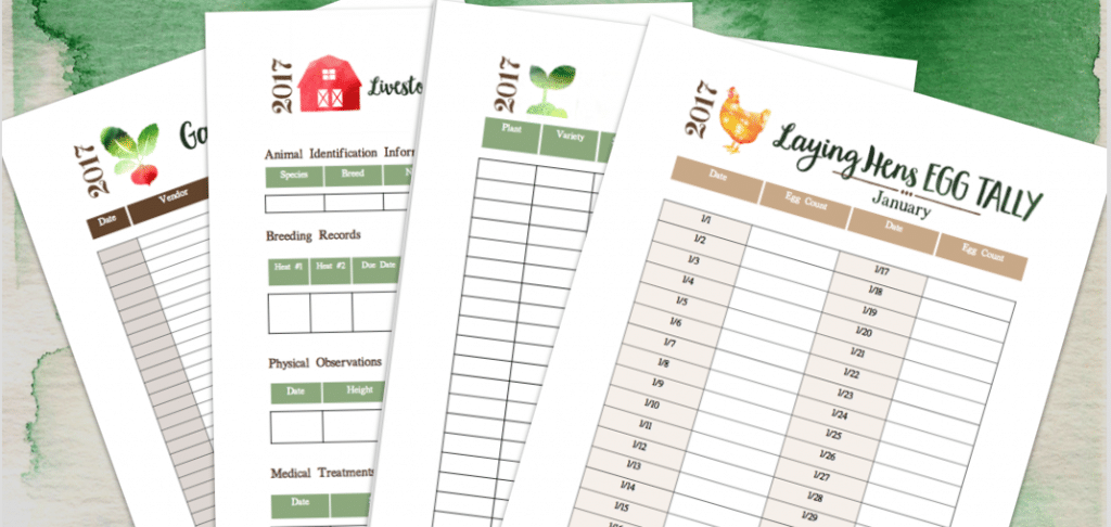 Peek Into My Homesteading Binder {VIDEO} - Reformation Acres