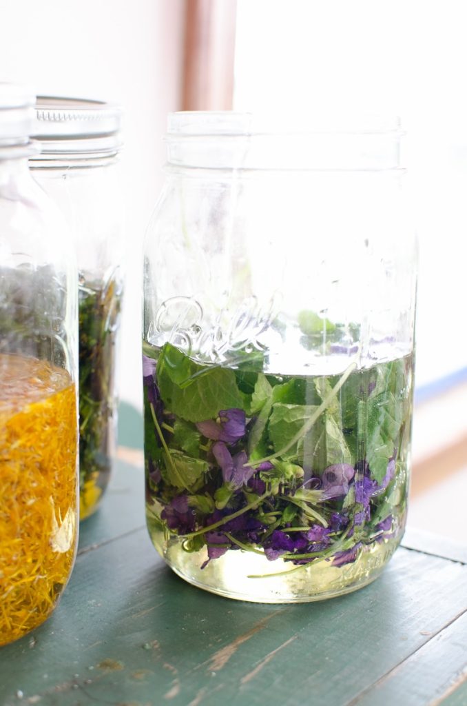 violet herbal oil infusion