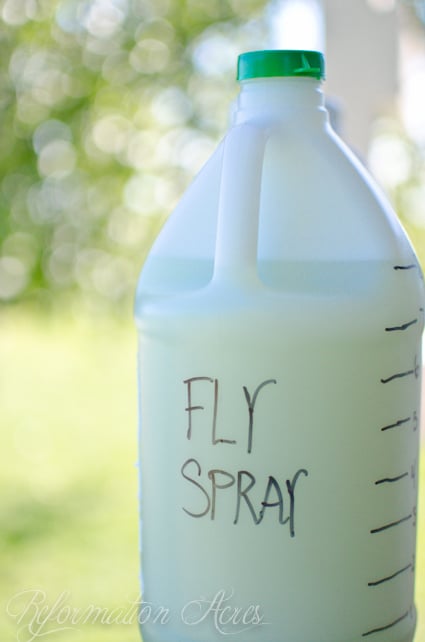 DIY Fly Spray-3