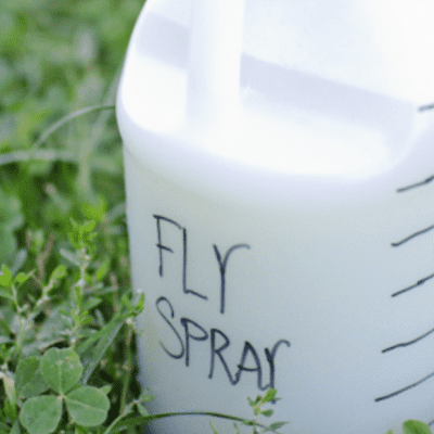 Homemade Fly Spray