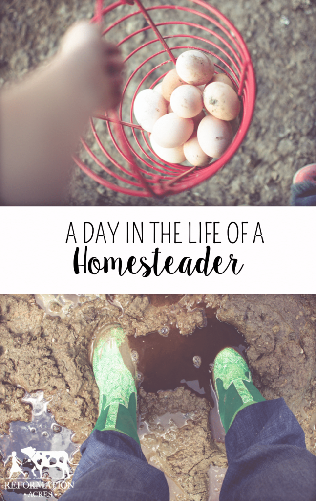 A Day in the Life of a Homesteading Family