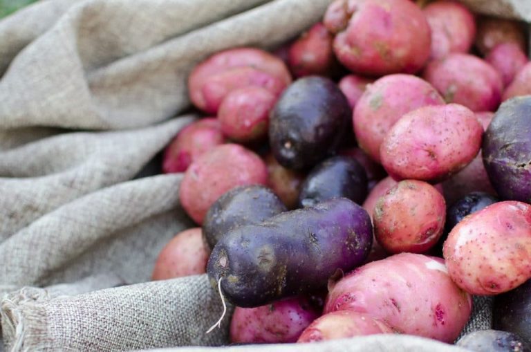 How to Can Potatoes (Plus 10 Other Ways to Preserve Them)