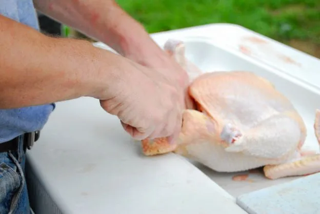 The Cost of Raising Cornish Meat Chickens