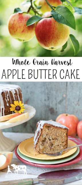 Have your cake & eat it too! This cake is almost healthy! Delicious recipe for Whole Grain Harvest Apple Butter Cake! 