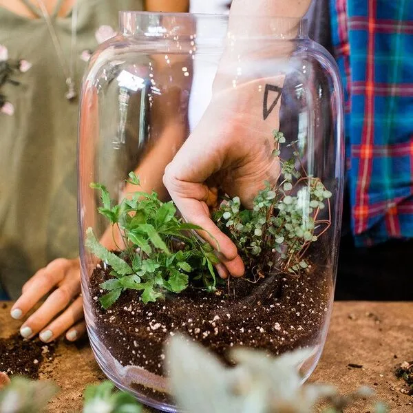 How to Make a Mini Greenhouse Using Recycled Containers? | RA